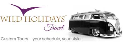 custom.tours